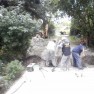 as-gradjevina